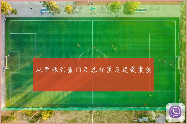 从草根到豪门足总杯黑马逆袭案例