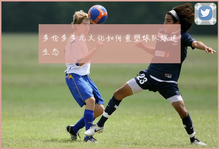 多伦多多元文化如何重塑球队球迷生态