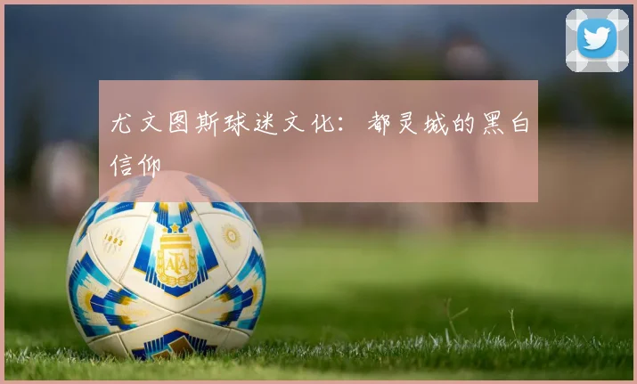 尤文图斯球迷文化：都灵城的黑白信仰