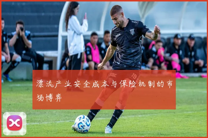 漂流产业安全成本与保险机制的市场博弈