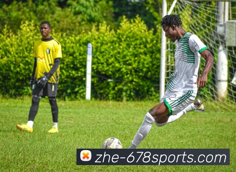 App Interface Preview